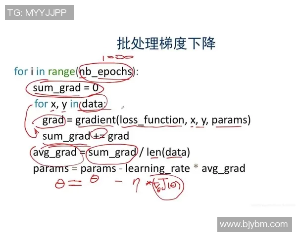 北京羽毛球队运营分析:成功经验与面临挑战的深度探讨