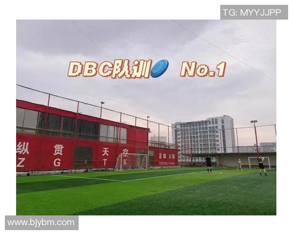 武汉飞盘队的区域防守策略分析与战术解读